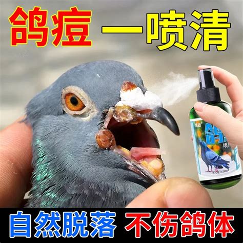 Pigeon Specific Medicine for Racing Pigeons Young Pigeons Canthus Claws ...