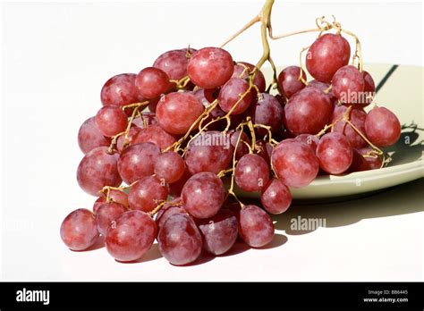 Cluster of red grapes in a plate on white background Stock Photo - Alamy