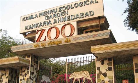 Kankaria Zoo Ahmedabad - Ticket Price, Timings, History, Location - YoMetro