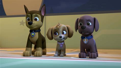 Watch PAW Patrol Season 5 Episode 6: PAW Patrol - Pups and the ...