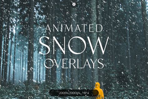 Animated Snow Overlays - Design Cuts