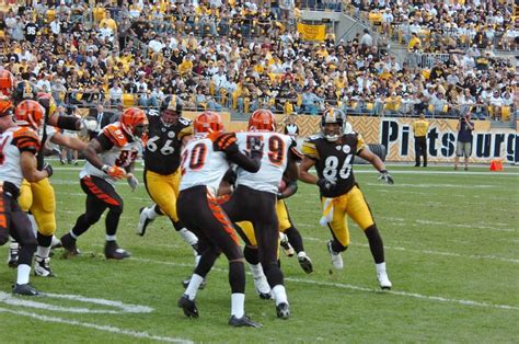 Bengals–Steelers rivalry - Wikipedia