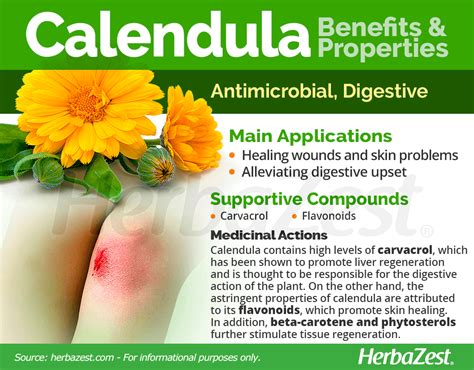 Calendula | HerbaZest