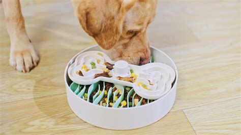 Puzzle Feeder slower dog feeder helps pups avoid digestive problems, obesity, and bloat » Gadget ...