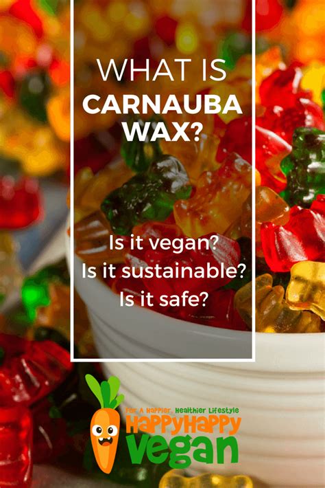 What Is Carnauba Wax And Is It Okay For Vegans To Use?