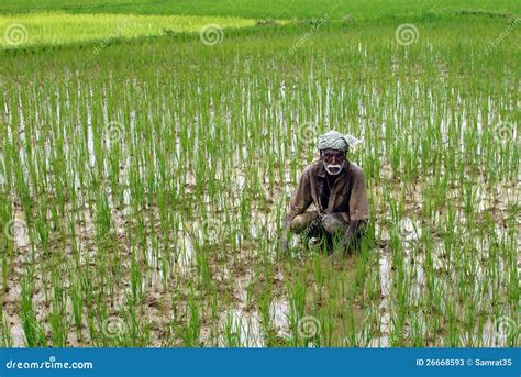 Poor Farmer Editorial Stock Photo - Image: 26668593