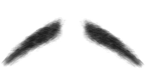 Realistic Manly Mustache, Mustache, Realistic, Face Hair PNG Transparent Clipart Image and PSD ...