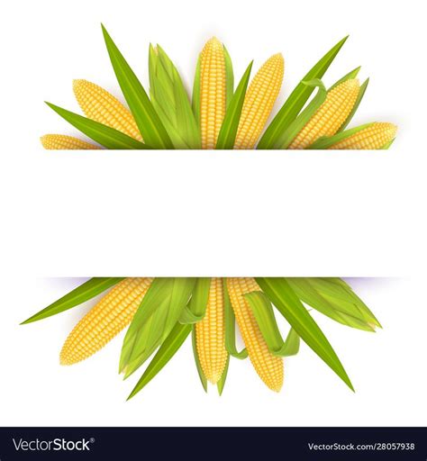 Corn frame card template realistic vector image on VectorStock in 2020 | Card template, Frame ...