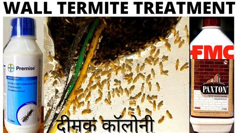 Wall termite treatment | termite control treatment | best termite ...