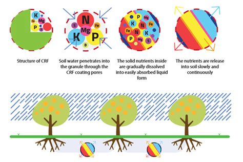 Nano-fertilizer – for significant economic and environmental benefits ...