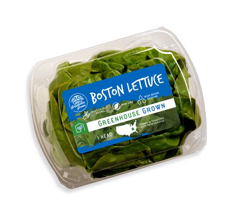 Boston Lettuce - Tanimura & Antle
