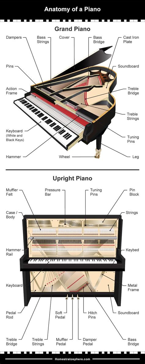 Parts of a Piano (Grand and Upright Piano Diagrams) | Piano, Upright ...