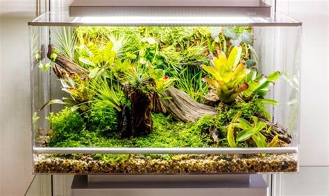 World’s first smart microhabitat can grow just about anything in your ...