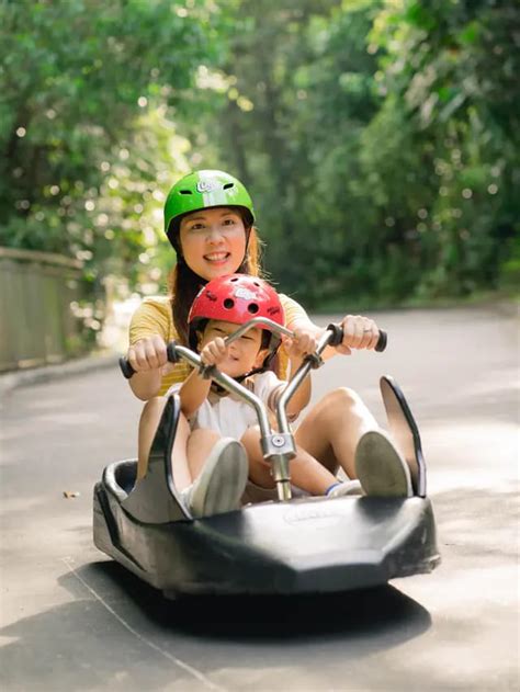 Skyline Luge Sentosa & Singapore Night Safari Tickets Combo