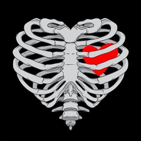 a skeleton with a red heart in it's chest