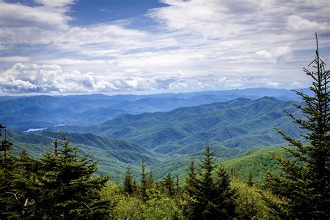 Clingmans Dome, Smoky Mountains [OC] [4752x3168] : r/EarthPorn