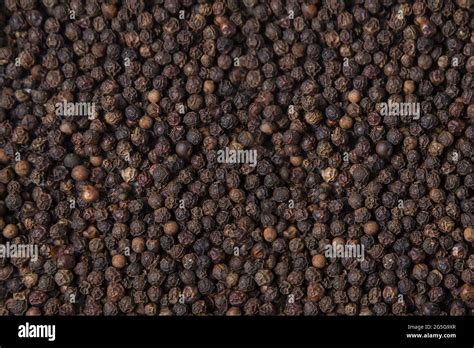 black pepper - a spice Stock Photo - Alamy