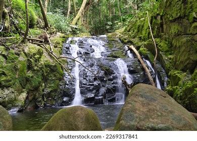 341 Seychelles Waterfalls Images, Stock Photos & Vectors | Shutterstock