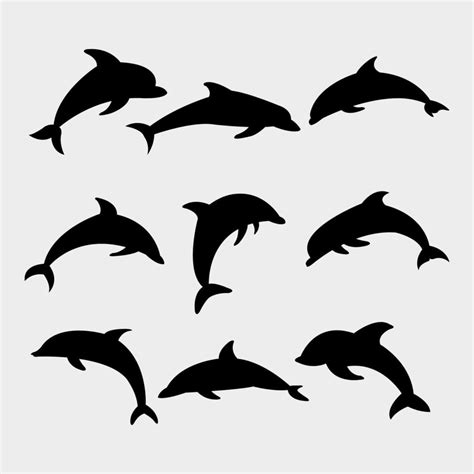 Dolphin set illustrated on a white background 3337256 Vector Art at Vecteezy