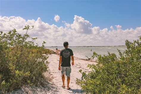 7 Things to do in Clearwater Florida | Simply Wander