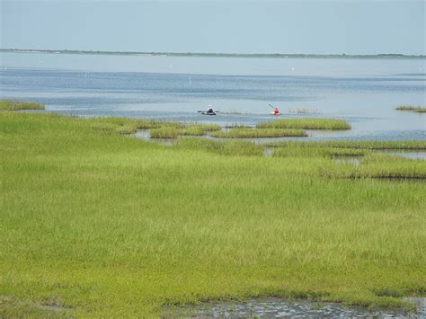 GALVESTON.COM: Travel West to Galveston Island State Park - Galveston, TX