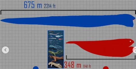 Subnautica fauna compared to the bloop and great Maja from Borisao blois : r/subnautica