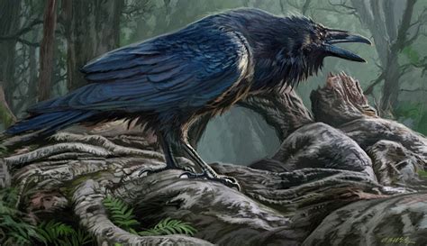 Dan Burr Illustrator: The Raven