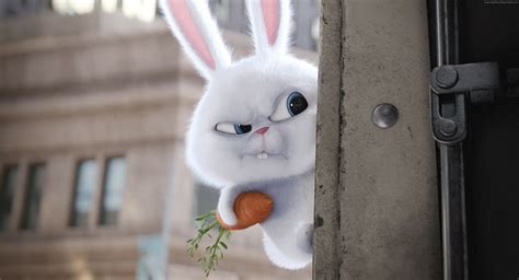 HD wallpaper: rabbit, cartoon, The Secret Life of Pets, Best Animation ...