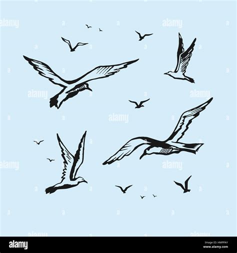 Seagulls vector sketch drawing by hand Stock Vector Image & Art - Alamy