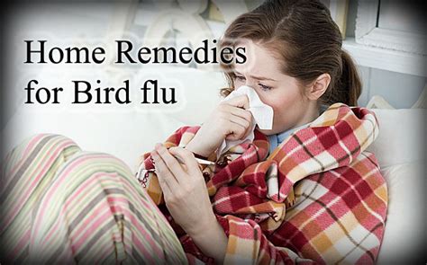 Top 7 Home Remedies For Bird Flu , Natural Remedies For Bird Flu - Natural Remedies And Treatment