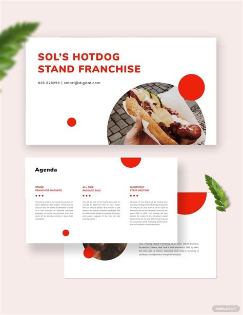 Franchise Business Plan Presentation Templates - Google Slides, Apple ...