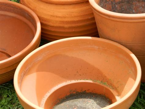 Terracotta Garden Pots Free Stock Photo - Public Domain Pictures
