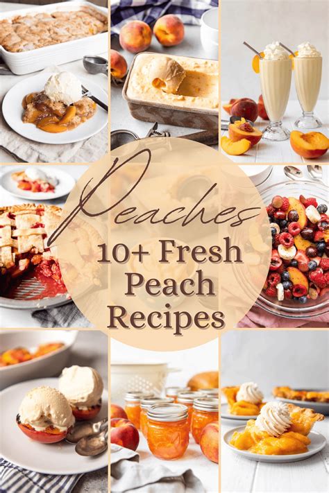 10+ Best Peach Recipes - House of Nash Eats