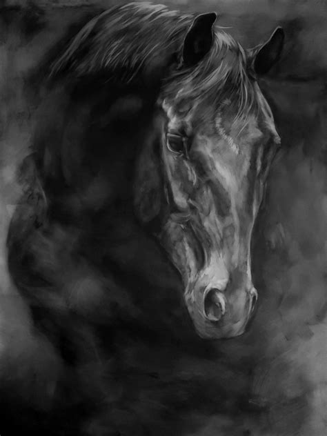 Expressive Black Horse Portrait — Renée Fukumoto