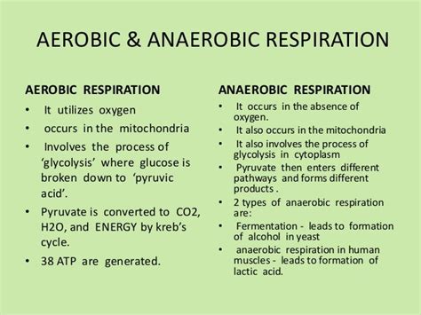 Differences Between Aerobic And Anaerobic Respiration - Science - Life Processes - 11465631 ...