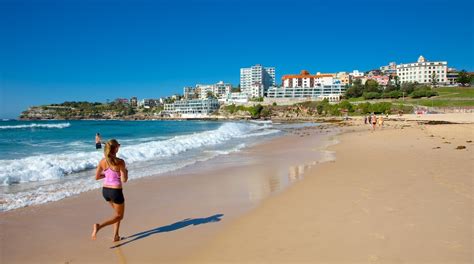 Book the Best Bondi Beach LUXURY Hotels - Upscale Hotels in Bondi Beach, Sydney | Expedia.ca