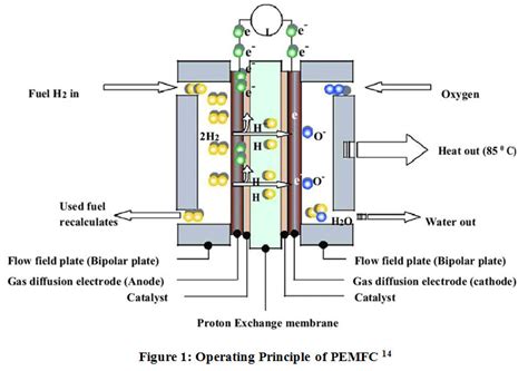 Proton Exchange Membrane Fuel Cell (PEMFC) Durability Factors ...