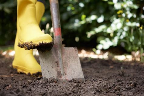 Using Shovels In The Garden - Types Of Garden Shovels And Their Uses