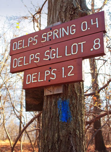 Free Images : tree, winter, hiking, trail, street sign, signage, trees ...