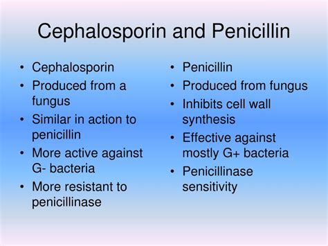 PPT - ANTIBIOTICS PowerPoint Presentation, free download - ID:5404062