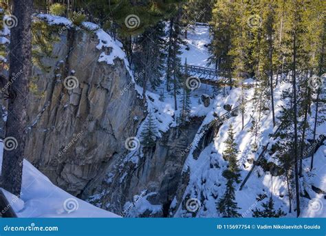 SUNWAPTA FALLS in Winter Season Stock Photo - Image of canyon, falls ...