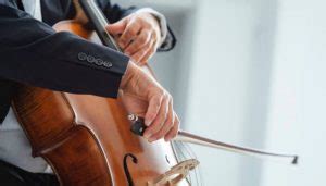 Top 10 Best Cello Brands: Beginner & Student Cello Reviews 2024