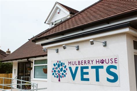 Mulberry House Vets - Your Wokingham & Bracknell Vet Practice