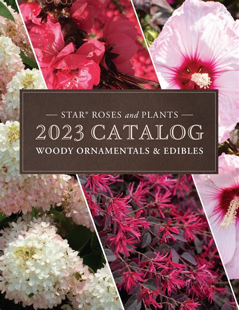 2023 Star Roses and Plants Woody Ornamentals & Edibles Catalog by Star ...