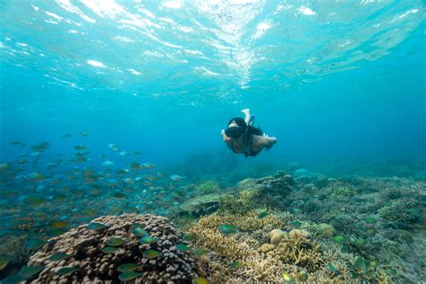 "Secret" Gilis Snorkeling - Gili Nanggu, Sudak & Kedis | Feel Lombok