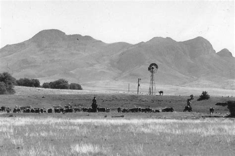 Mustang Ranch - Arizona Land and Water Trust