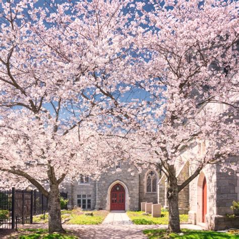 Instagrammable Connecticut: Flower Towns | Visit CT