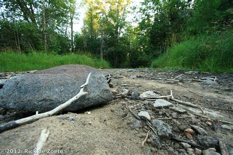 All Nature Sings: Up the creek - no paddle needed