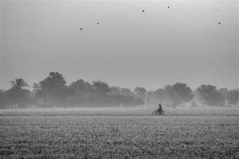 Life on Land | Smithsonian Photo Contest | Smithsonian Magazine