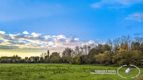 Country landscape with trees background 21032